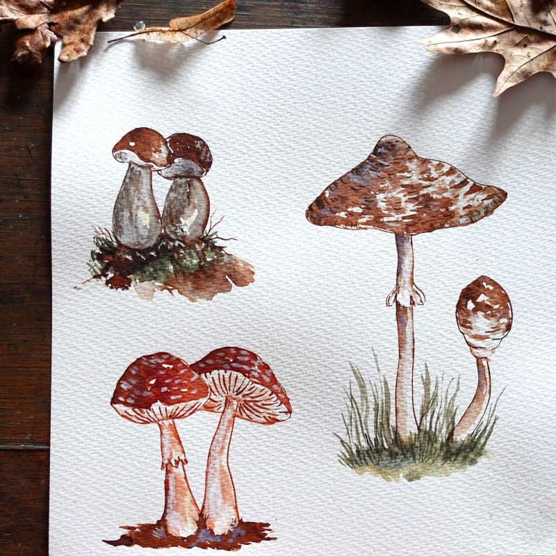 Creative Workshops in the Woods1