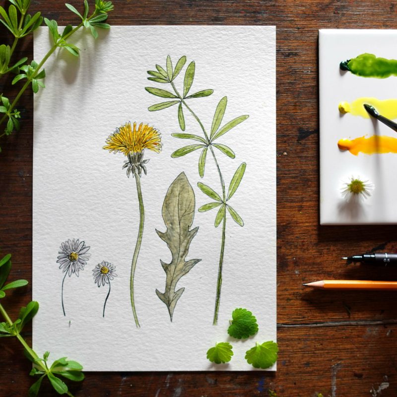 Creative Workshops in the Woods2