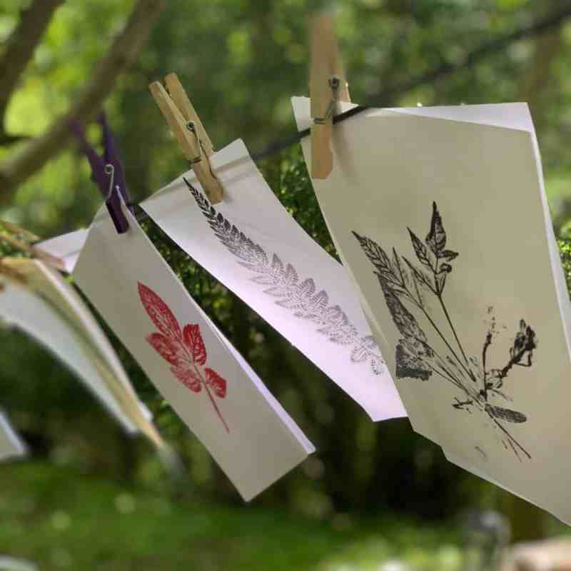 The Salt Box and Surrey Art School, Creative Collaborations, Creative Workshops, Natural Art Classes, creative workshops