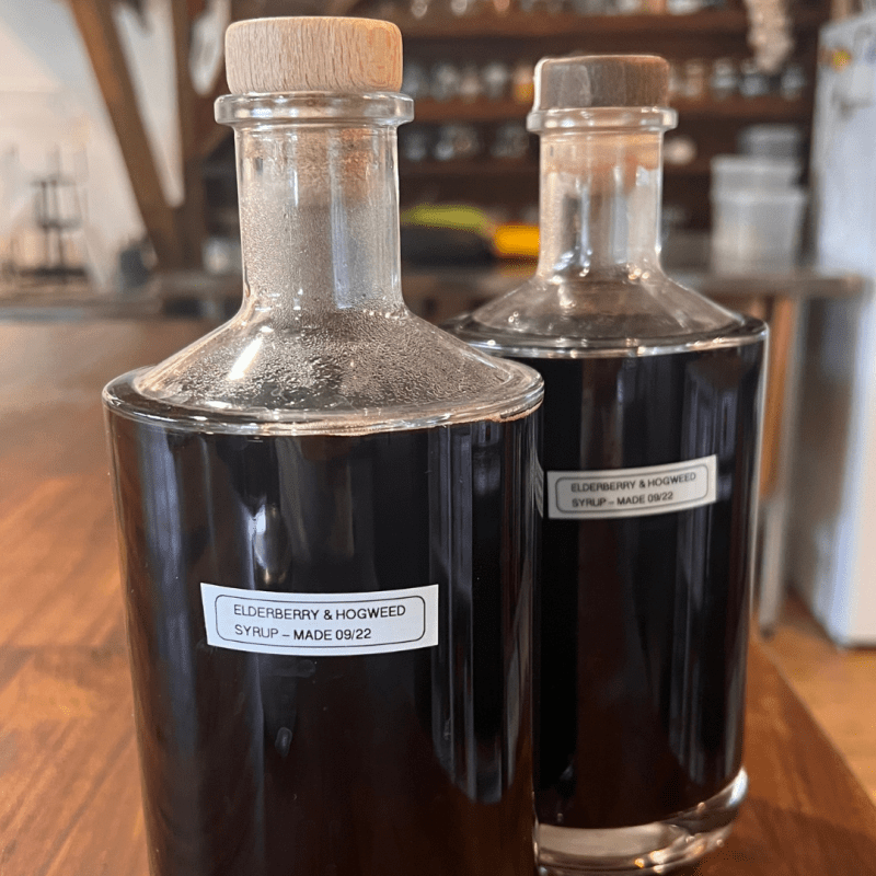 Elderberry Hogweed Syrup