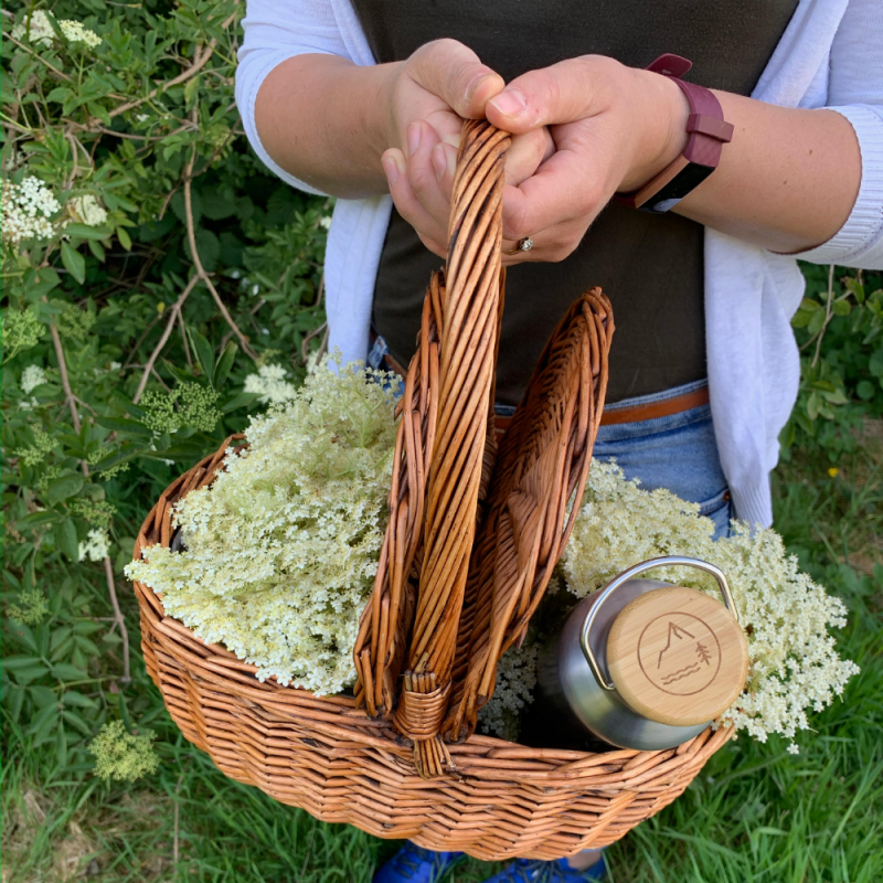 Foraging for Elderflower