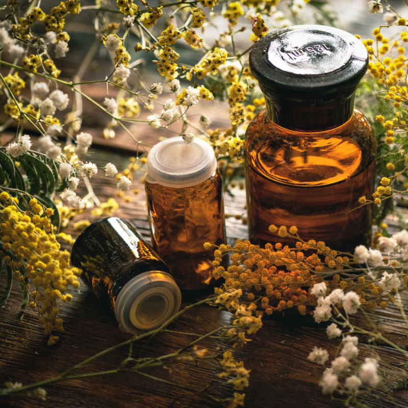 Herbal Medicine Workshop