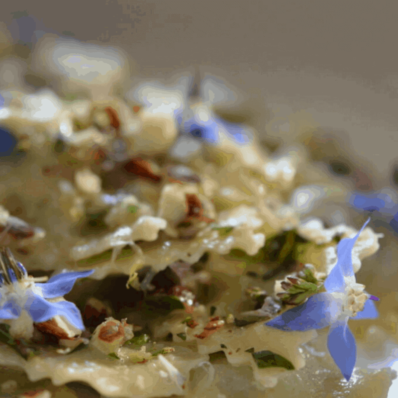 BORAGE & COBNUT RAVIOLI