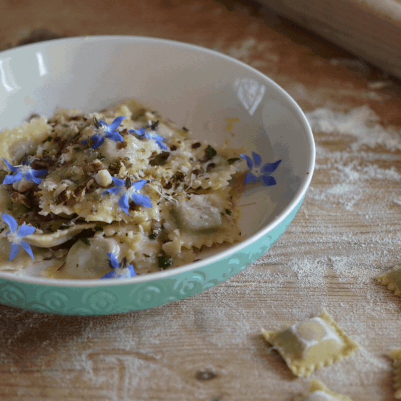 BORAGE & COBNUT RAVIOLI