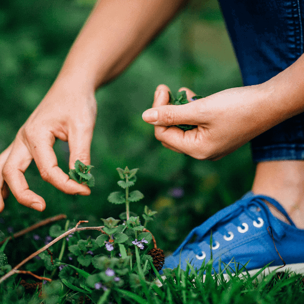 Corporate Away Days & Team Building