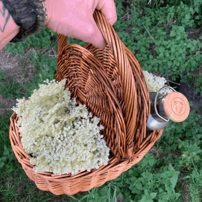 how to make elderflower cordial