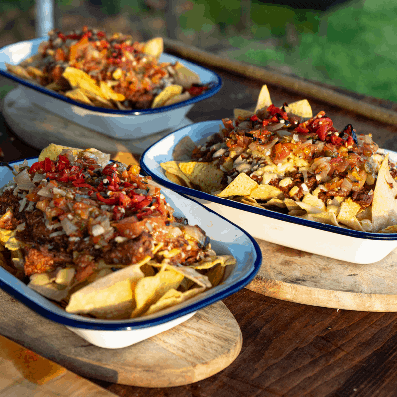 venison, wild game, nachos