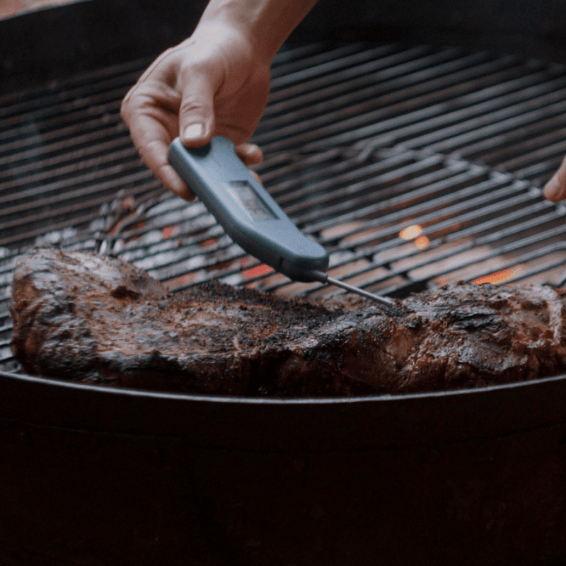 thermapen, temperature, core tempertaure