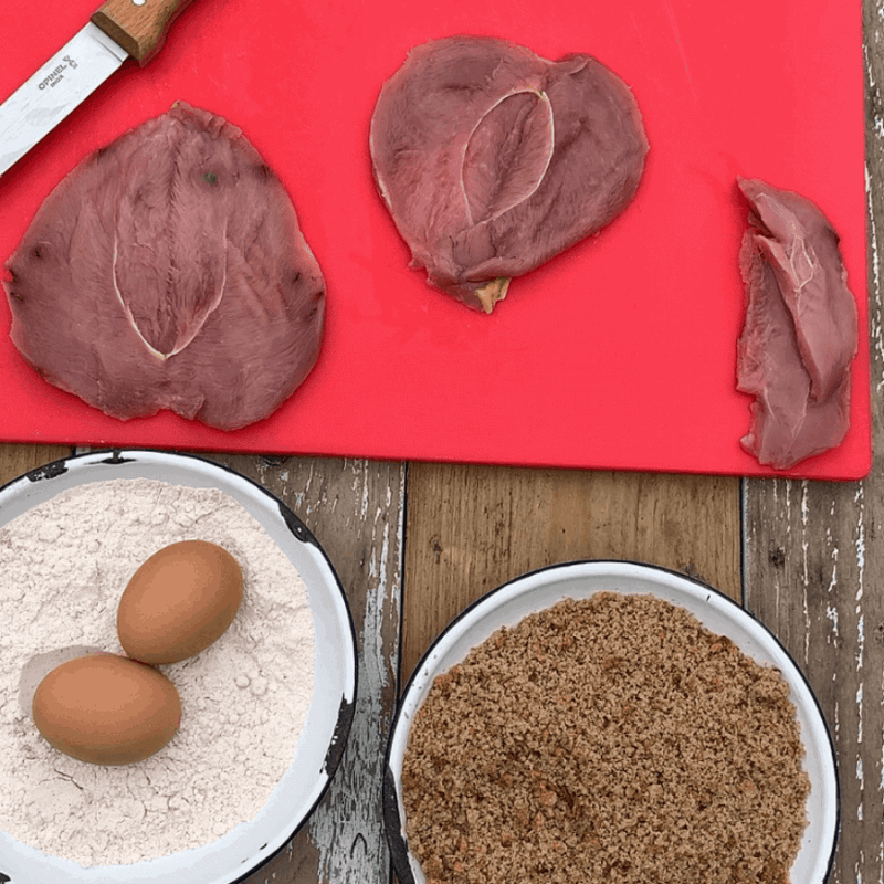 pheasant, schnitzel, family, wild game, feast over fire