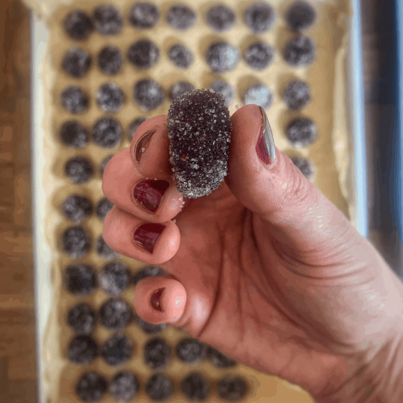 foraged fruit pastilles