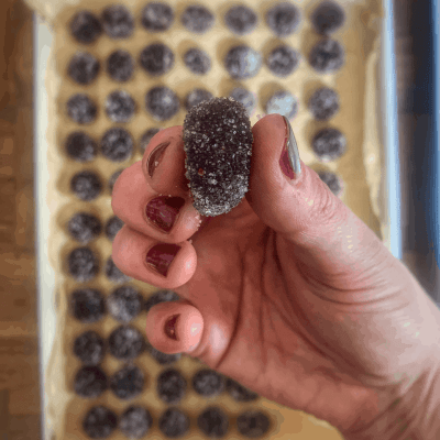 foraged fruit pastilles