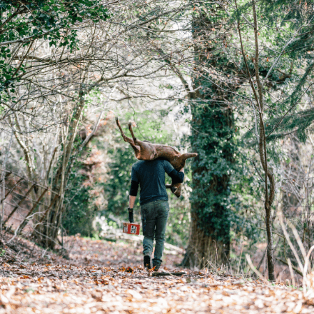 Wild Venison sustainable, ethical