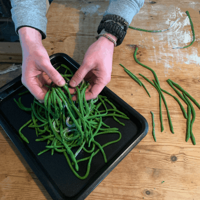 Wild Garlic Pici Pasta