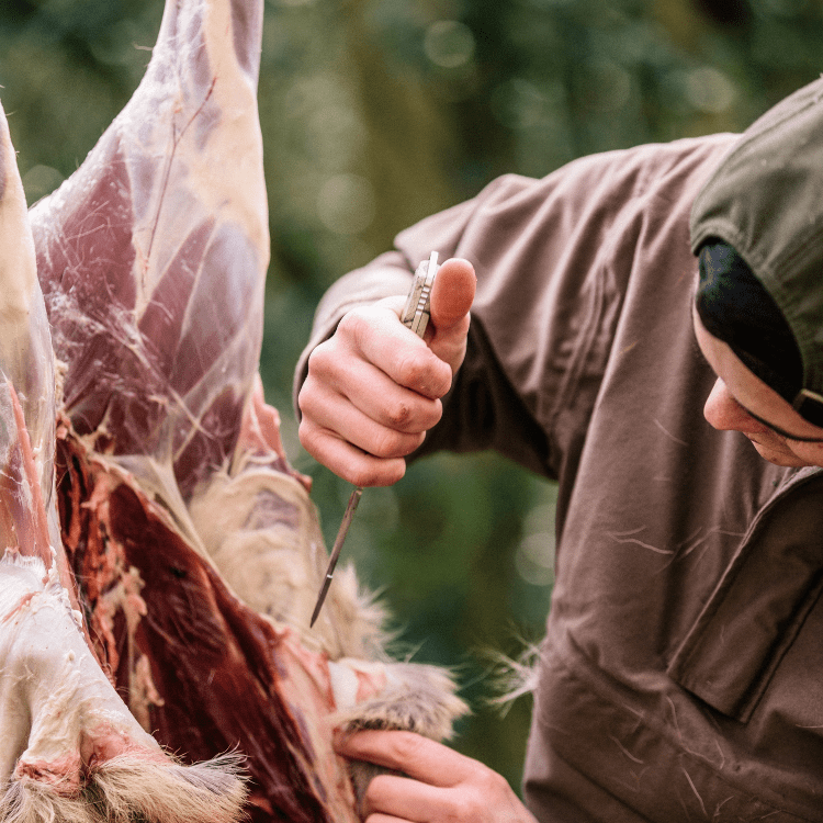 Wild Venison Butchery Course