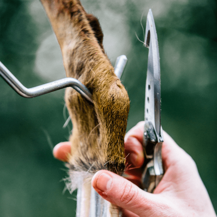 Wild Venison Butchery Course