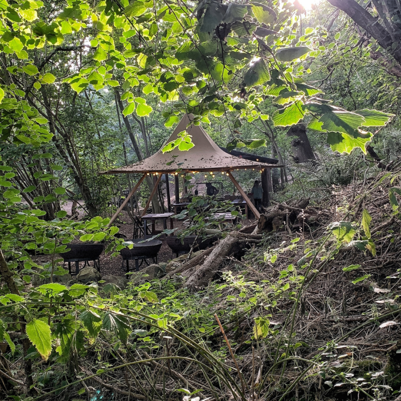 Woodland Experiences at The Salt Box Surrey12